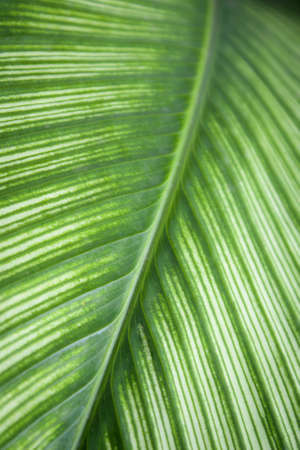 textureの写真素材