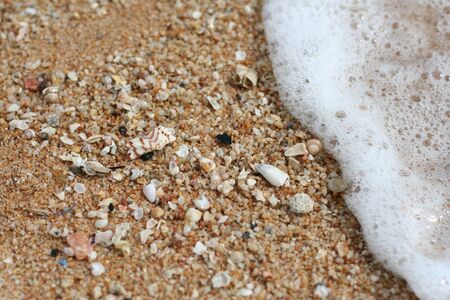 Wave bubble with little shells on the sand beach, beautiful beach surface texture background.
