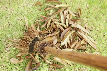 Sweeping autumn leaves with broom stick on the grass lawnの写真素材
