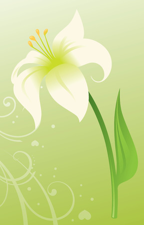Single Easter Lily.のイラスト素材