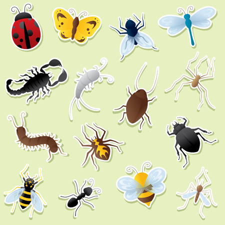 Insect icons. Simple gradients - easy to change colour. White outlines can be easily removed and icons used without.のイラスト素材