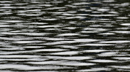 Black and white water waves in motion for pattern and design background