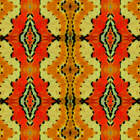 Beautiful Background made from Lacewing Butterfly wings textureの写真素材