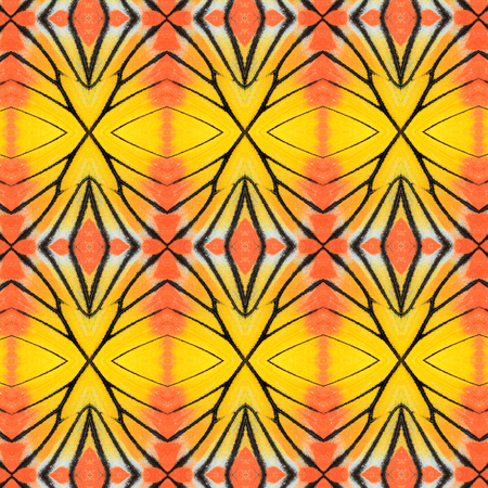 Beautiful Orange and Yellow pattern background texture made from Painted Jezebel butterfly wings