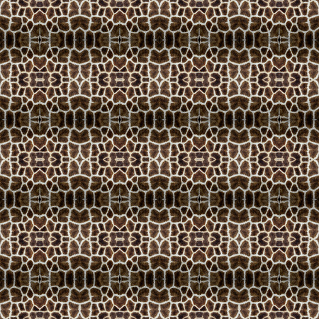 Beautiful Background Pattern made from Giraffe hairs の写真素材