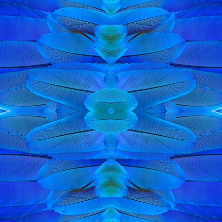Beautiful of simettric background made of blue and gold macaw bird feathersの写真素材