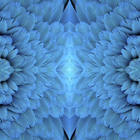 Close up of Bueautiful Blue and Gold Macaw bird feathers in great の写真素材