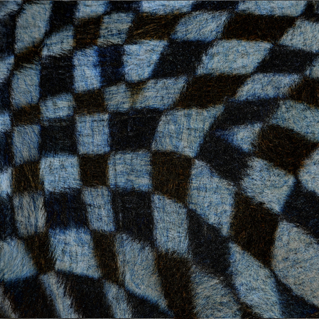 Beautiful of Cross Camouflage pattern of zebra fur texture