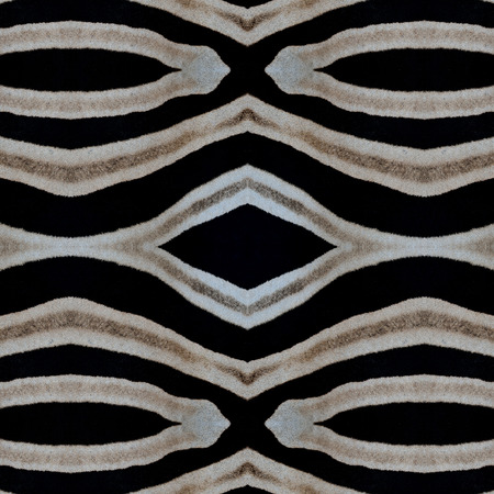 Seamless black and white background pattern made of zebra wool texture