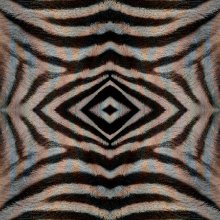 Seamless camouflage background pattern made of zebra skin texture