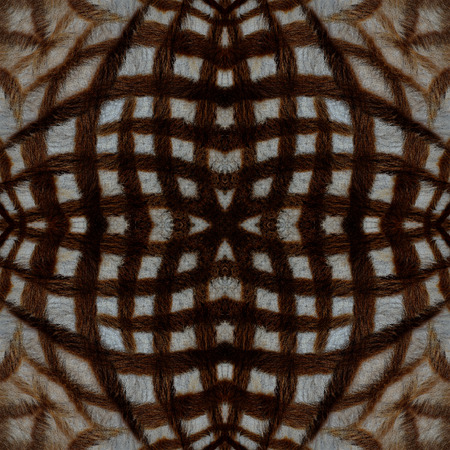 Seamless cross background pattern made of zebra fur textureの写真素材