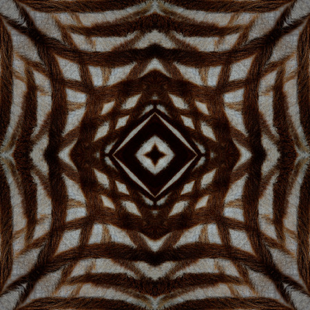 Seamless cross background pattern made of zebra fur textureの写真素材