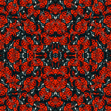 Beautiful Seamless pattern of Blue and Red Butterfly consoliated into a great backgroundの写真素材