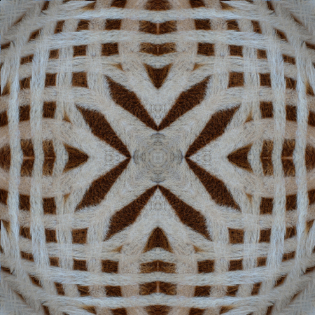 Best of the Cross Camouflage background pattern of zebra fur textureの写真素材