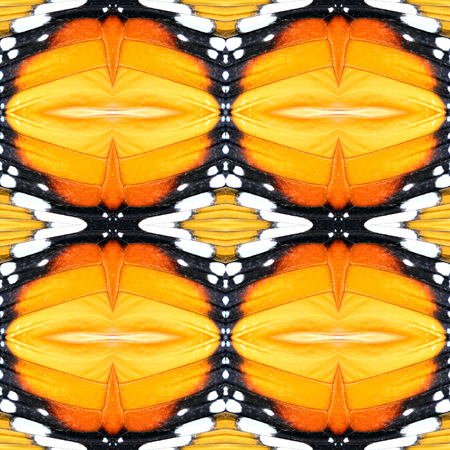Beautiful Orange background pattern made of Leopard Lacewing butterfly's wing skinの写真素材