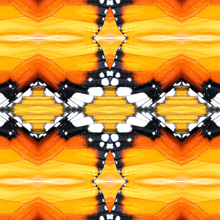 Beautiful Yellow Background Texture made of Plain Tiger Butterfly wing skinの写真素材