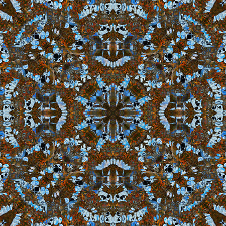 Exotic blue background texture made of Common Commander butterfliesの写真素材