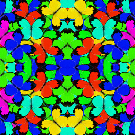 Exotic Colorful Background made of various Yellow Grassy Butterfliesの写真素材