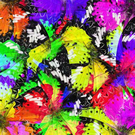 Sweet Malay Lacewing butterflies in an exotic colorful background textureの写真素材