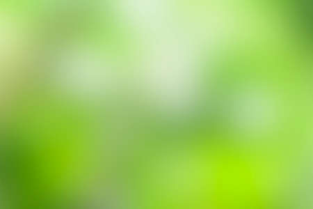 Fine and Soft green backgroundの写真素材