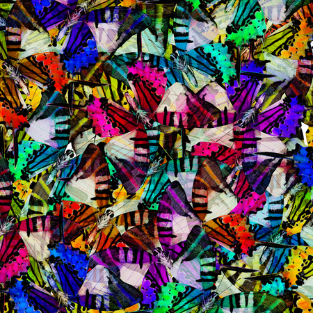 Fivebar Swordtail Butterfly lower wing profile gathering in the beautiful messed background textureの写真素材