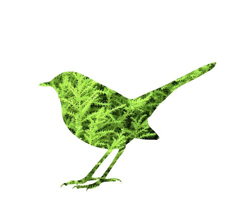 Sign of nature, small plants gethering in bird shape isolated on white background for symbol of beautiful natural freshnessの写真素材