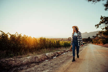 Caucasian female farmer walking through vineyards at sunrise holding basket of fresh vegetablesの写真素材