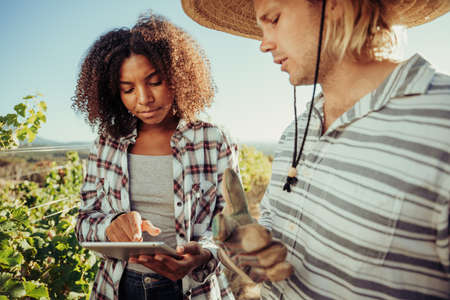 Male and female farmers working together in vineyards holding digital tablet researching for project