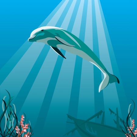 image of a dolphin swimming in the oceanのイラスト素材