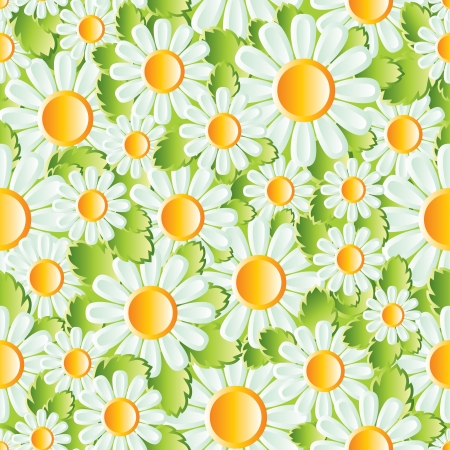 vector seamless background with chamomilesのイラスト素材