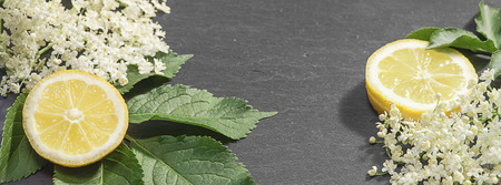Elderflowers leafs and sliced lemons on to anthracite background in HeaderSizeの写真素材