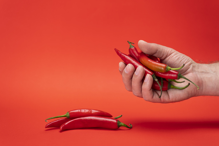Image of red narrow long spicy chili peppers and men's hand holding chilli isolated on the red backgroundの写真素材