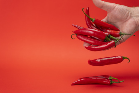 Image of red narrow long spicy chili peppers falling out of men's hand isolated on the red backgroundの写真素材