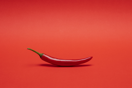 Image of red narrow long spicy chili pepper isolated on the red backgroundの写真素材