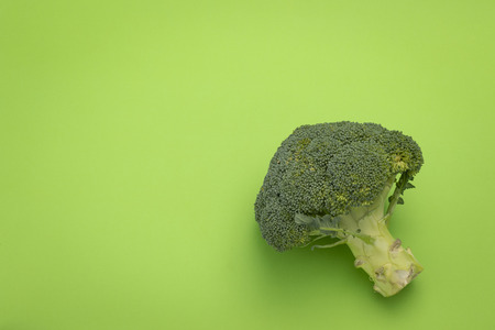 Broccoli isolated on green background, fresh, healthy foodの写真素材