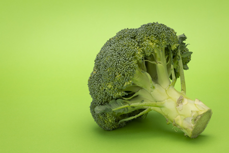 Broccoli isolated on green background, fresh, healthy foodの写真素材