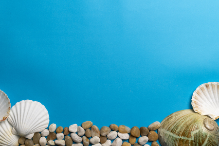 Close up photo of white shells, stones and abalone shell isolated on blue background, copy spaceの写真素材