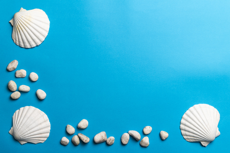 Close up photo of white shells and stones isolated on blue background, copy spaceの写真素材