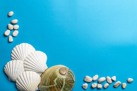 Close up photo of white shells, stones and abalone shell isolated on blue background, copy spaceの写真素材