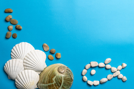 Close up photo of white shells, stones and abalone shell isolated on blue background, copy spaceの写真素材