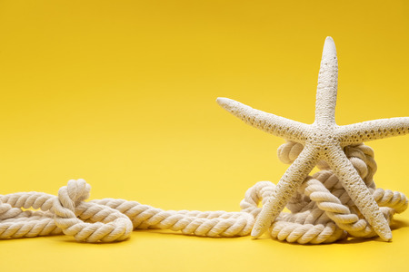 Summer time concept with starfish and rope on a plain yellow backgroundの写真素材
