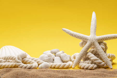 Summer time concept with starfish, shell, stones and rope on a plain yellow background and sandの写真素材