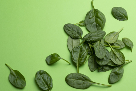 Group of babe spinach leaves isolated on green background