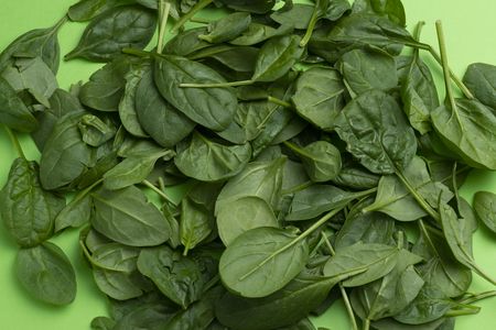 Group of babe spinach leaves isolated on green backgroundの写真素材