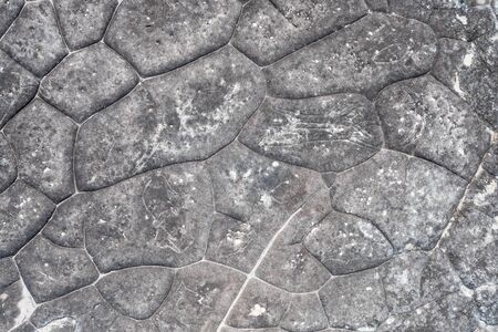 Aboriginal rock carving art in Ku-ring-gai Chase, Sydney, Australiaの写真素材