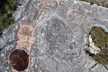Aboriginal rock carving art in Ku-ring-gai Chase, Sydney, Australiaの写真素材