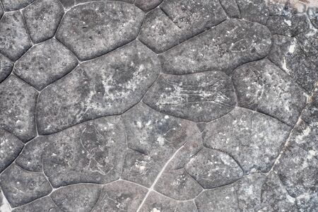 Aboriginal rock carving art in Ku-ring-gai Chase, Sydney, Australiaの写真素材