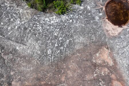 Aboriginal rock carving art in Ku-ring-gai Chase, Sydney, Australiaの写真素材