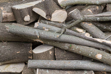 Close up of a pile of wooden logs, chopped into smaller pieces, timber logs.の写真素材