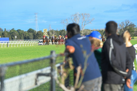 Spectators at the race course watching a horse race finishの写真素材